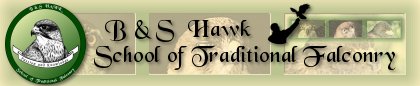 B&S Hawk - School of Traditional Falconry