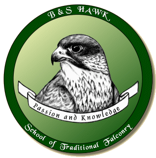 B & S Hawk - School of Traditional Falconry